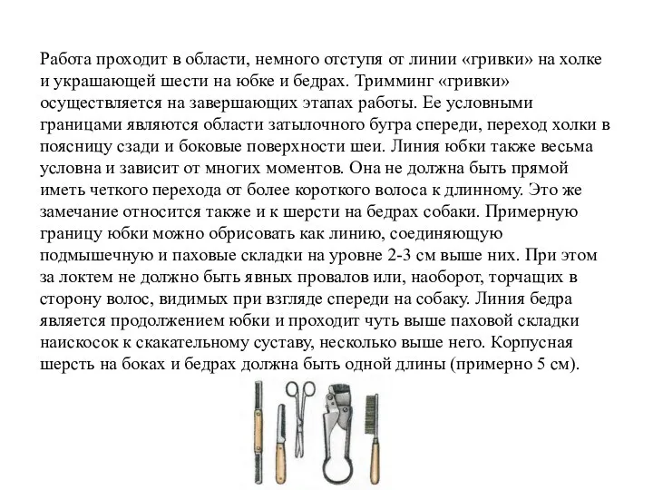 Работа проходит в области, немного отступя от линии «гривки» на холке