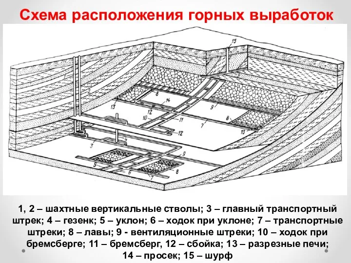 Схема расположения горных выработок 1, 2 – шахтные вертикальные стволы; 3