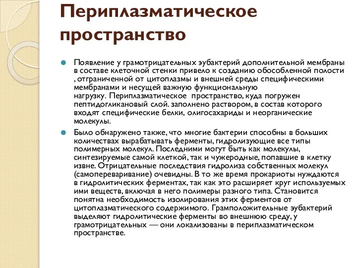 Периплазматическое пространство Появление у грамотрицательных эубактерий дополнительной мембраны в составе клеточной