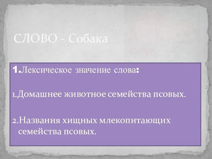 1.Лексическое значение слова: 1.Домашнее животное семейства псовых. 2.Названия хищных млекопитающих семейства псовых. СЛОВО - Собака