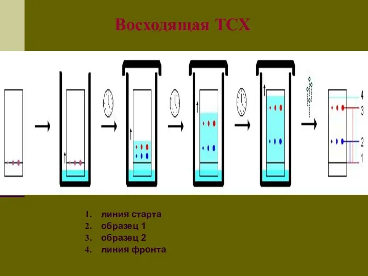 Восходящая ТСХ линия старта образец 1 образец 2 линия фронта