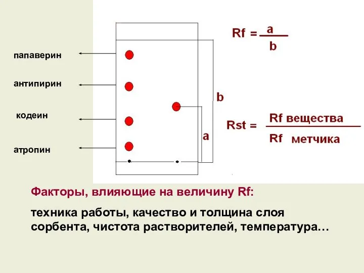 Факторы, влияющие на величину Rf: техника работы, качество и толщина слоя