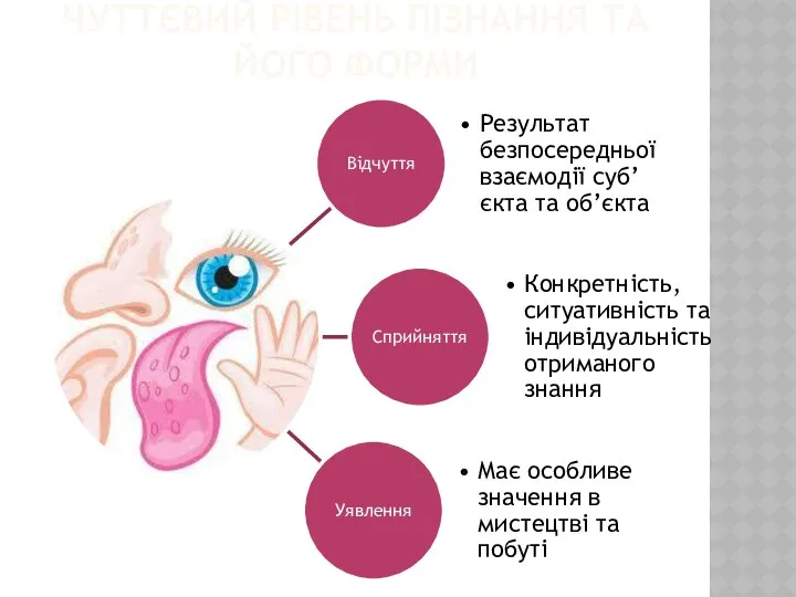 ЧУТТЄВИЙ РІВЕНЬ ПІЗНАННЯ ТА ЙОГО ФОРМИ