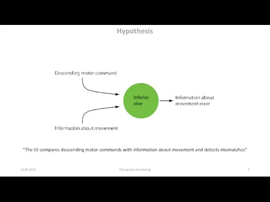 13.09.2016 Portugues Lab meeting Hypothesis “The IO compares descending motor commands