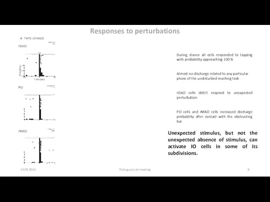 13.09.2016 Portugues Lab meeting Responses to perturbations During stance all cells