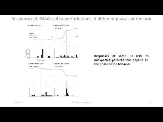 13.09.2016 Portugues Lab meeting Responses of rMAO cell to perturbations at