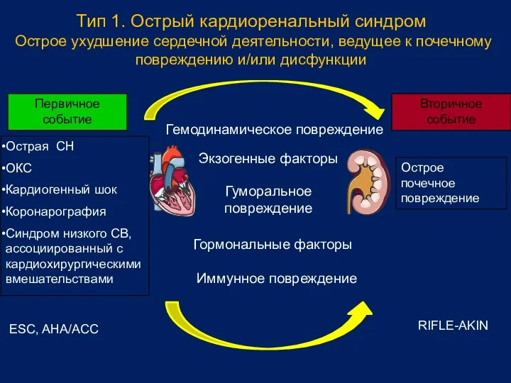 Тип 1. Острый кардиоренальный синдром Острое ухудшение сердечной деятельности, ведущее к