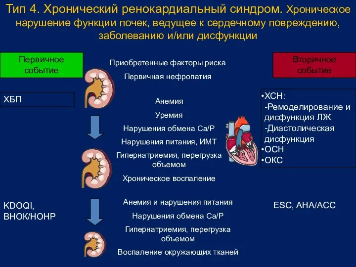 Тип 4. Хронический ренокардиальный синдром. Хроническое нарушение функции почек, ведущее к