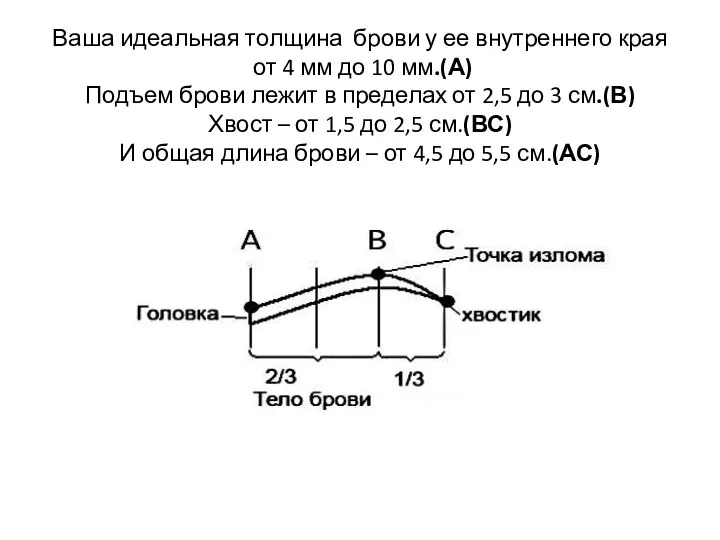 Ваша идеальная толщина брови у ее внутреннего края от 4 мм