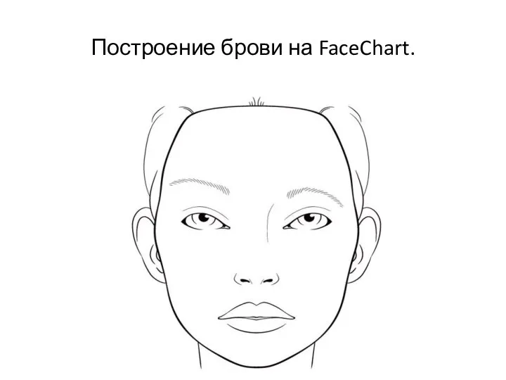 Построение брови на FaceChart.