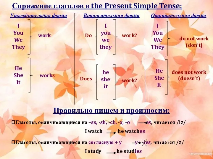 Спряжение глаголов в the Present Simple Tense: Утвердительная форма I You