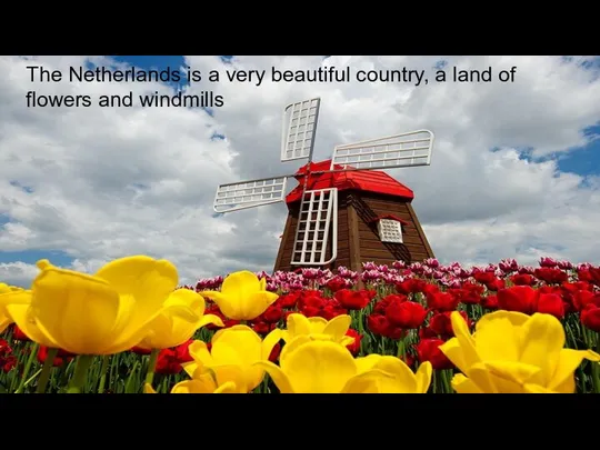 The Netherlands is a very beautiful country, a land of flowers and windmills