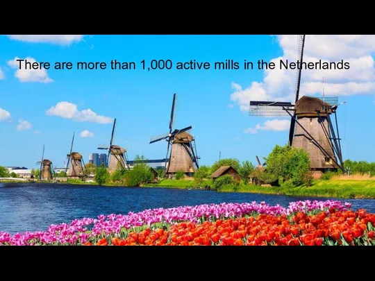 There are more than 1,000 active mills in the Netherlands