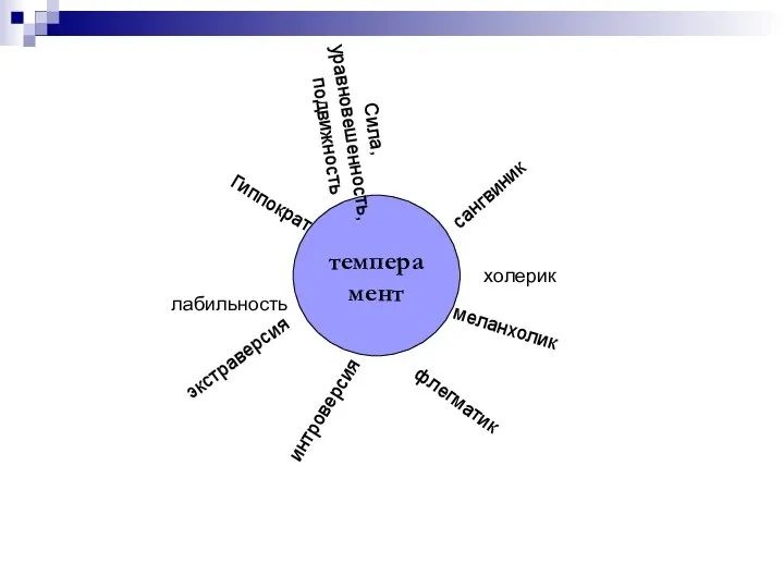 темперамент сангвиник меланхолик холерик флегматик Гиппократ лабильность экстраверсия интроверсия Сила, уравновешенность, подвижность