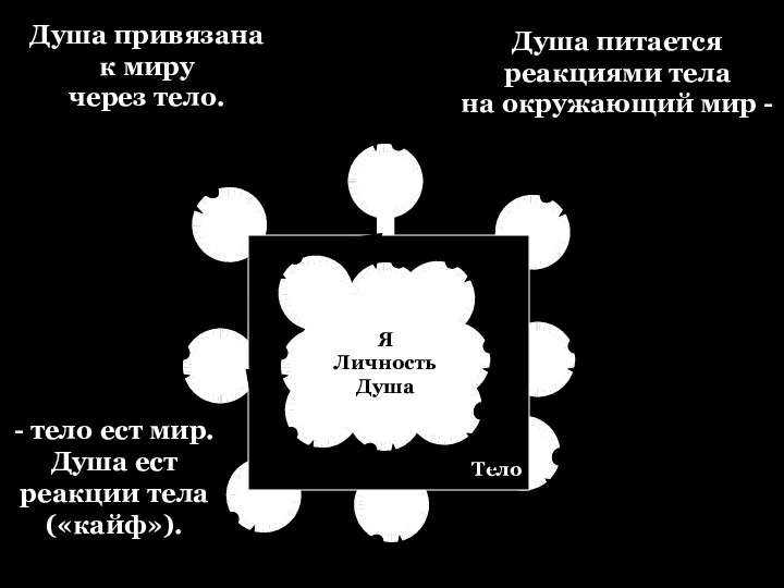 Душа привязана к миру через тело. Душа питается реакциями тела на