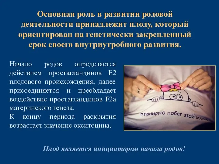 Плод является инициатором начала родов! Основная роль в развитии родовой деятельности