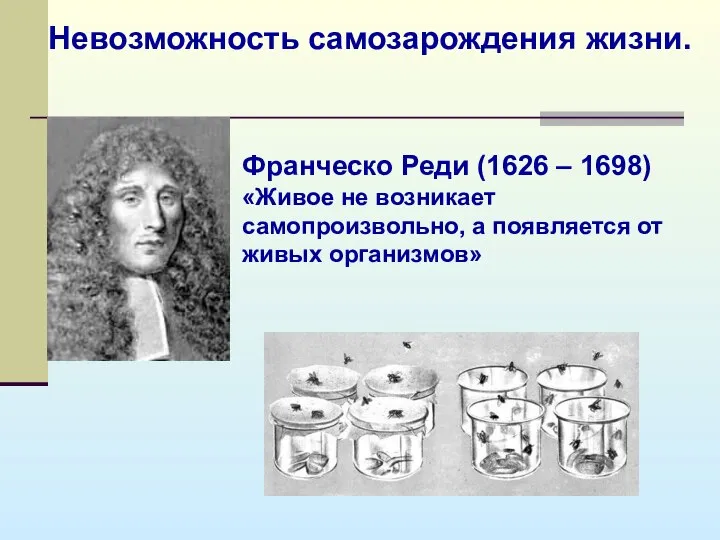 Невозможность самозарождения жизни. Франческо Реди (1626 – 1698) «Живое не возникает