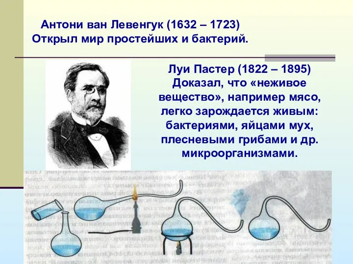 Антони ван Левенгук (1632 – 1723) Открыл мир простейших и бактерий.