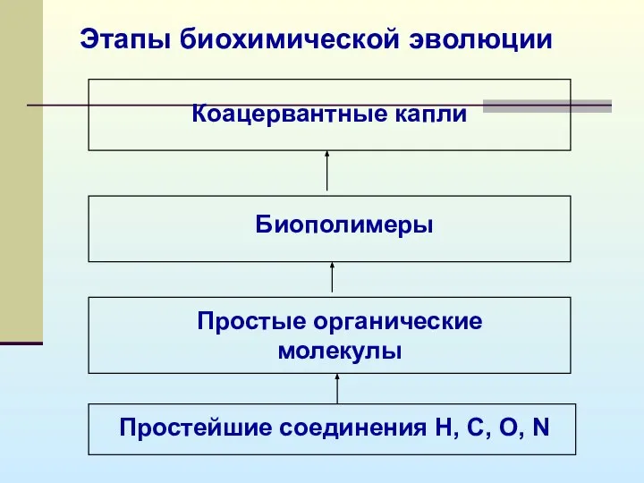 Этапы биохимической эволюции Простейшие соединения Н, С, О, N Простые органические молекулы Биополимеры Коацервантные капли