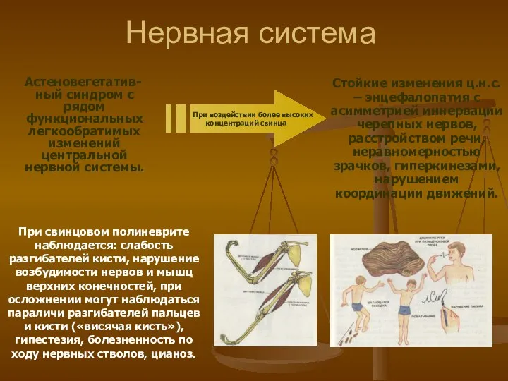 Нервная система Астеновегетатив-ный синдром с рядом функциональных легкообратимых изменений центральной нервной