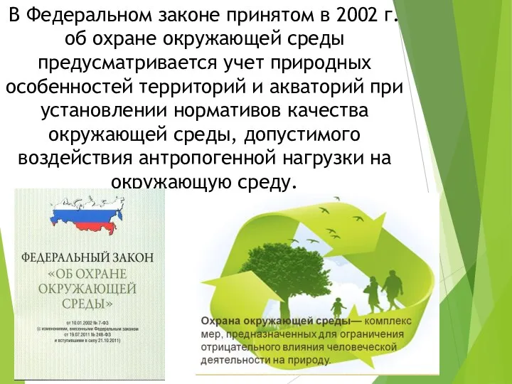 В Федеральном законе принятом в 2002 г. об охране окружающей среды