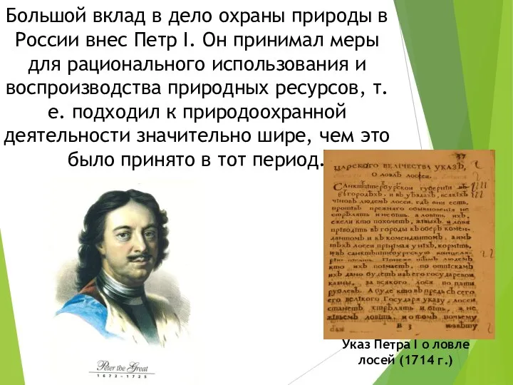 Большой вклад в дело охраны природы в России внес Петр I.