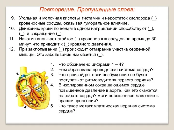 Повторение. Пропущенные слова: Угольная и молочная кислоты, гистамин и недостаток кислорода