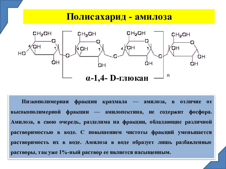 Низкополимерная фракция крахмала — амилоза, в отличие от высокополимерной фракции —