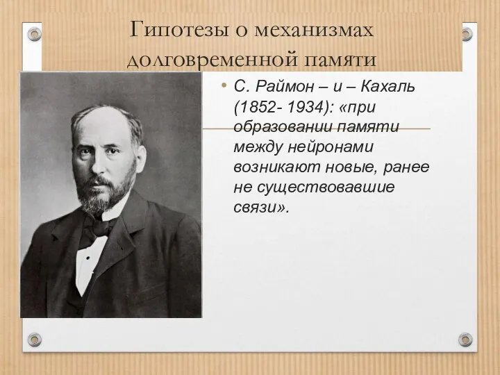 Гипотезы о механизмах долговременной памяти С. Раймон – и – Кахаль