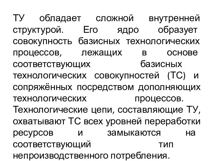 ТУ обладает сложной внутренней структурой. Его ядро образует совокупность базисных технологических