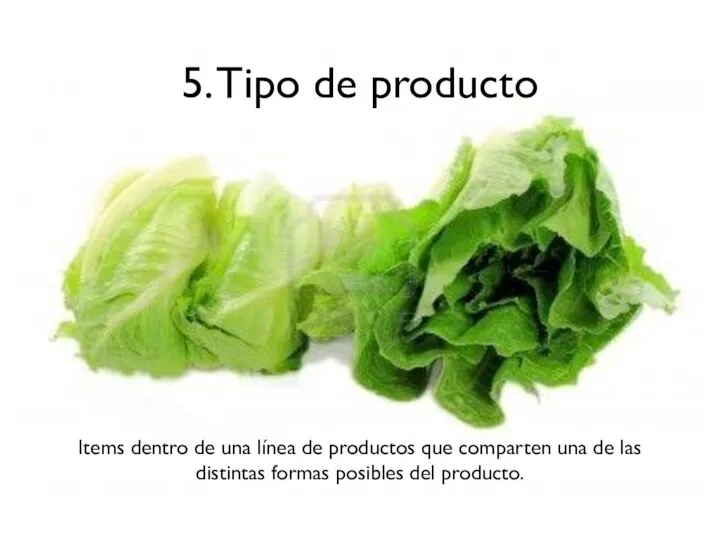 5. Tipo de producto Items dentro de una línea de productos