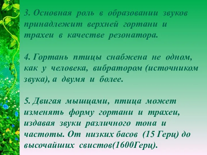 3. Основная роль в образовании звуков принадлежит верхней гортани и трахеи