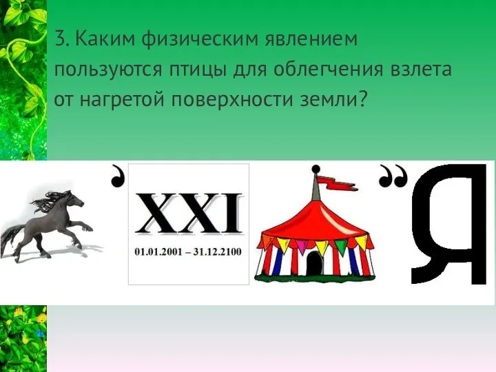 3. Каким физическим явлением пользуются птицы для облегчения взлета от нагретой поверхности земли?