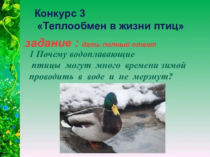 задание : дать полный ответ Конкурс 3 «Теплообмен в жизни птиц»