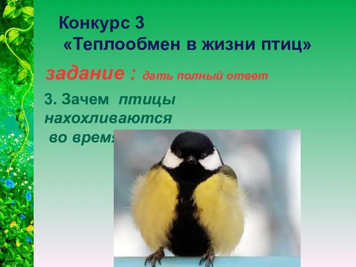 задание : дать полный ответ Конкурс 3 «Теплообмен в жизни птиц»