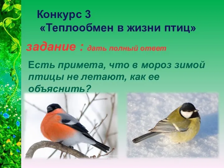 задание : дать полный ответ Конкурс 3 «Теплообмен в жизни птиц»