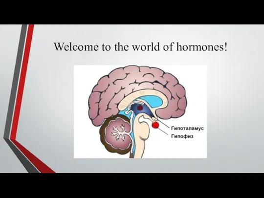 Welcome to the world of hormones!