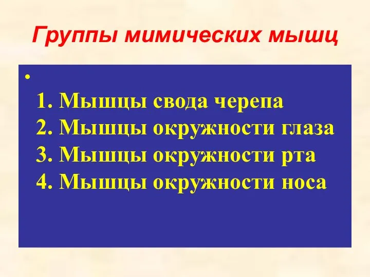 Группы мимических мышц 1. Мышцы свода черепа 2. Мышцы окружности глаза