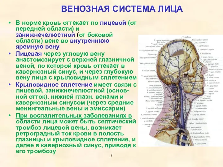 ВЕНОЗНАЯ СИСТЕМА ЛИЦА В норме кровь оттекает по лицевой (от передней