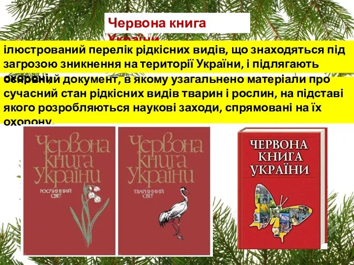 Червона книга України основний документ, в якому узагальнено матеріали про сучасний