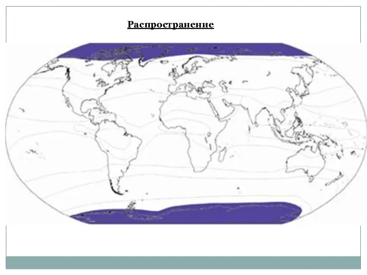 Распространение