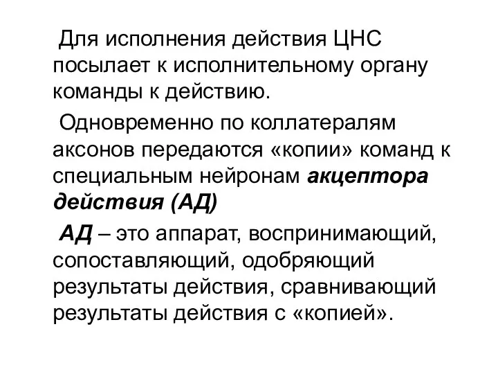 Для исполнения действия ЦНС посылает к исполнительному органу команды к действию.