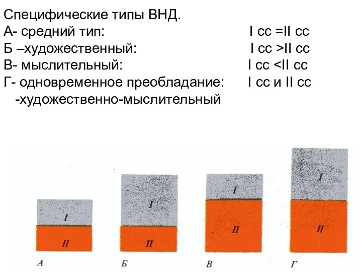 Специфические типы ВНД. А- средний тип: I сс =II сс Б