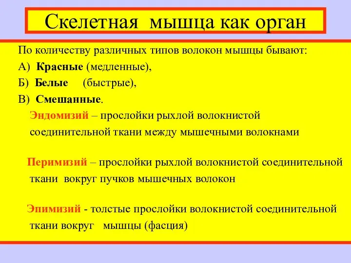 Скелетная мышца как орган По количеству различных типов волокон мышцы бывают: