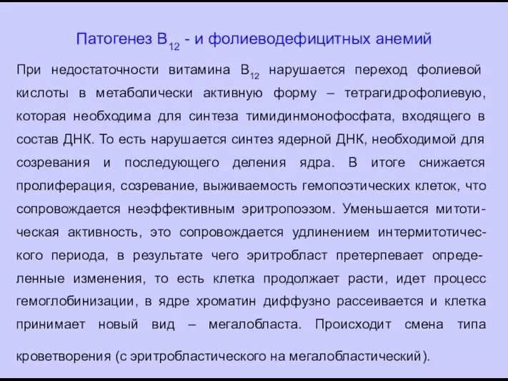 Патогенез В12 - и фолиеводефицитных анемий При недостаточности витамина В12 нарушается