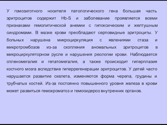 У гомозиготного носителя патологического гена большая часть эритроцитов содержит Hb-S и