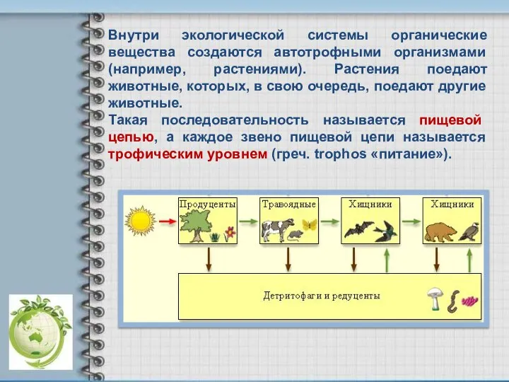 Внутри экологической системы органические вещества создаются автотрофными организмами (например, растениями). Растения