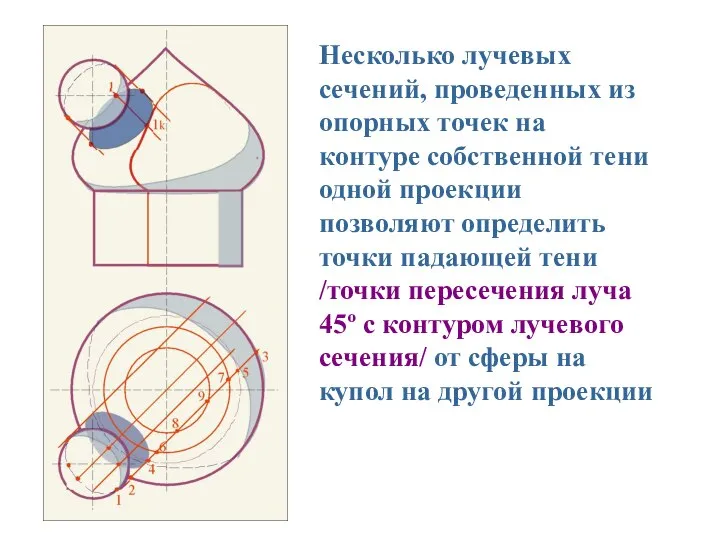 Несколько лучевых сечений, проведенных из опорных точек на контуре собственной тени