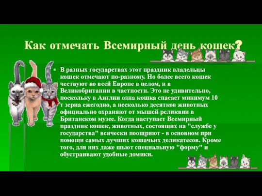 Как отмечать Всемирный день кошек? В разных государствах этот праздник владельцы