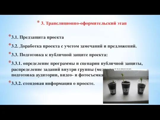 3. Трансляционно-оформительский этап 3.1. Предзащита проекта 3.2. Доработка проекта с учетом